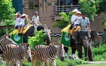 Visit Bali Safari Park