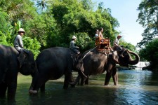 bali elephant ride